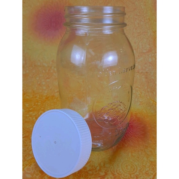 GOLDEN HARVEST MASON JAR 7" With Screw On White Lid Bottom# 43204 67 - Picture 4 of 8